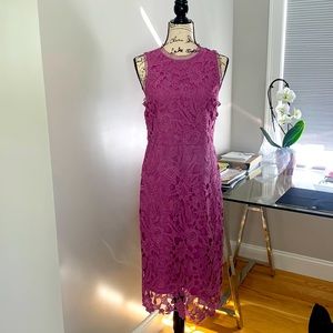 Beautiful Sam Edelman cut out lace dress, fully lined, size 6, nwt